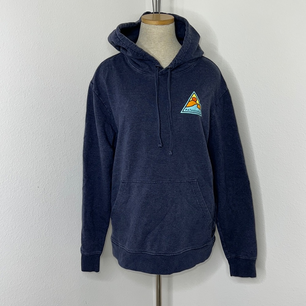 🔹 Patagonia Organic Cotton Hoodie